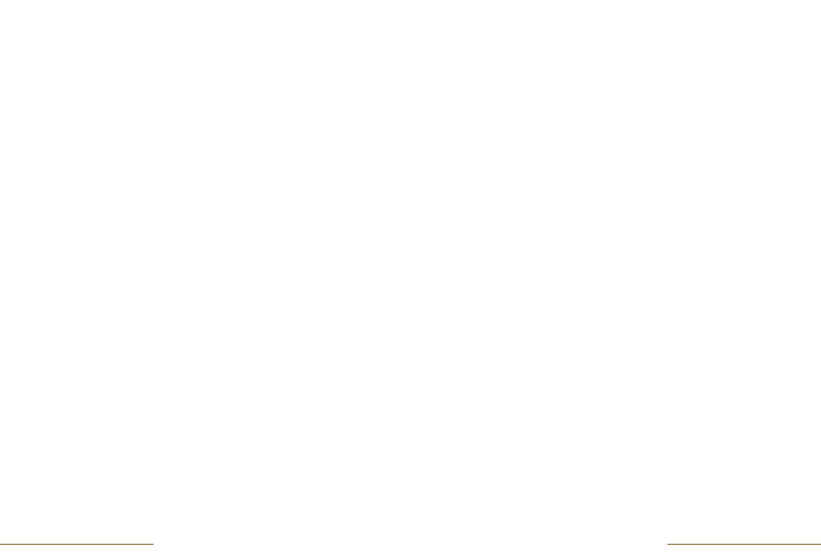 the-palace-big-logo | |